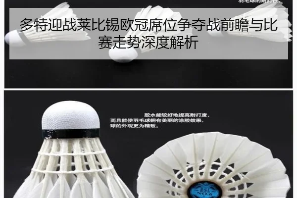 多特迎战莱比锡欧冠席位争夺战前瞻与比赛走势深度解析
